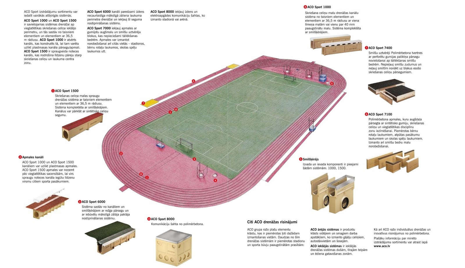 Sport